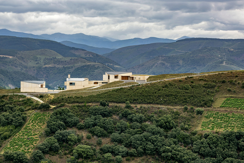 DESCENDIENTES DE J. PALACIOS WINERIES EL BIERZO, SPAIN 2013-2017